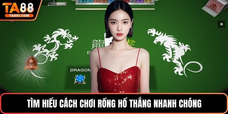 Tìm hiểu cách chơi rồng hổ thắng nhanh chóng